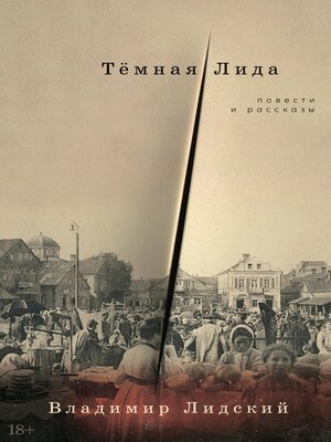 cover image of Тёмная Лида